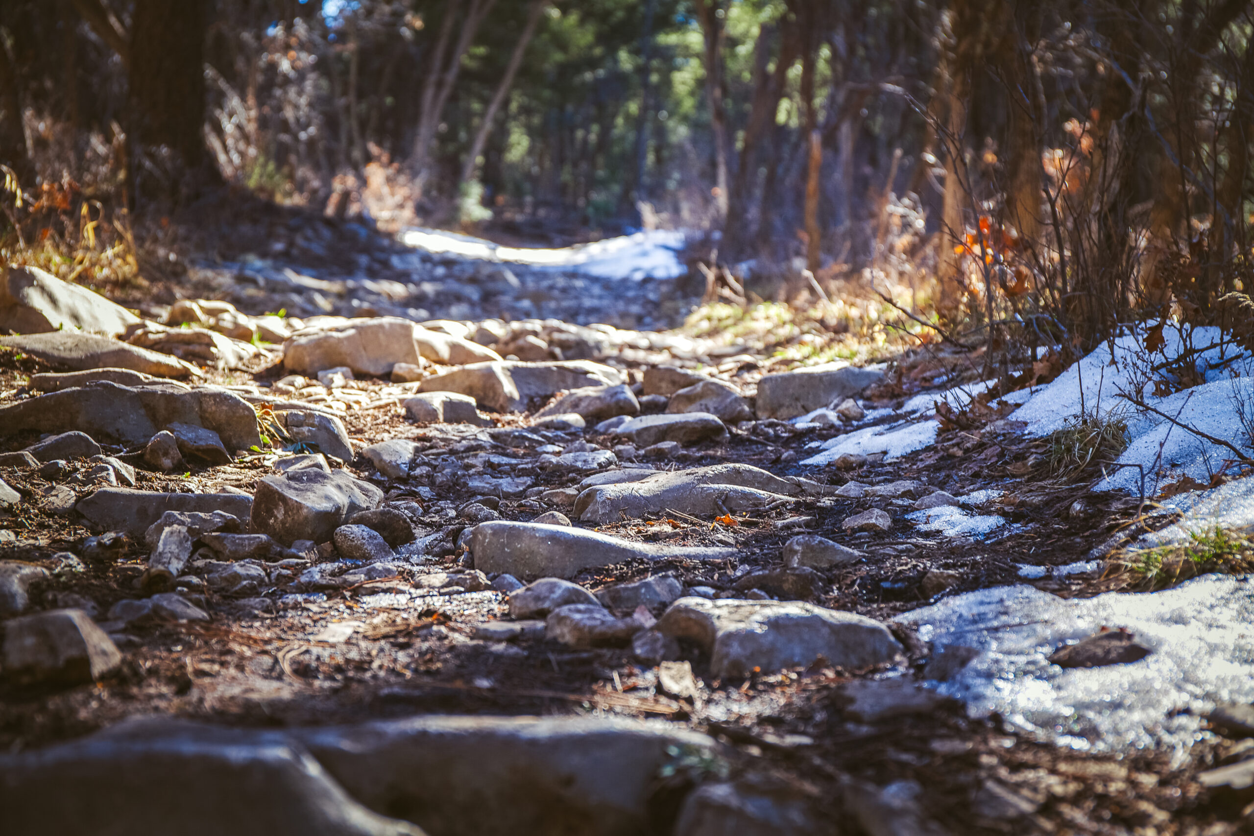 A rocky forest path with patches of snow on the sides under a canopy of trees.