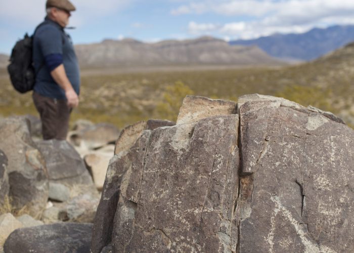 A person stands in the background of a desert landscape, with rock carvings in the foreground. Mountains are visible in the distance.